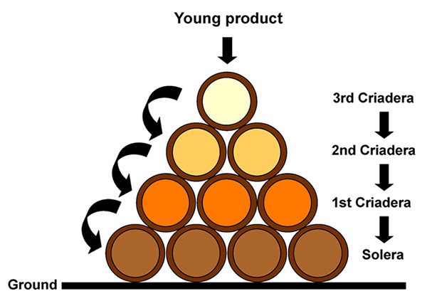 young-product